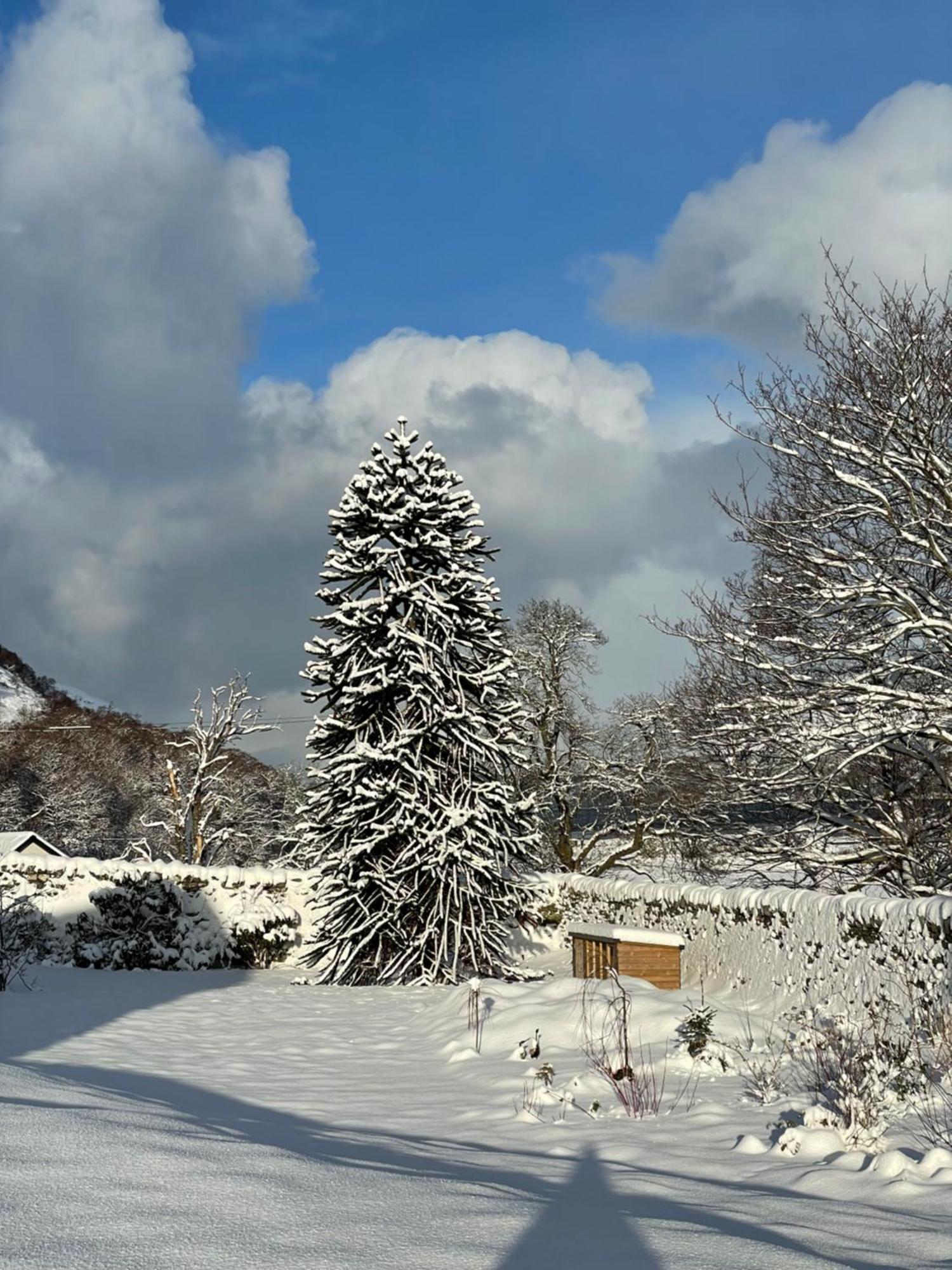 Clachan Garden B&B Garve Εξωτερικό φωτογραφία