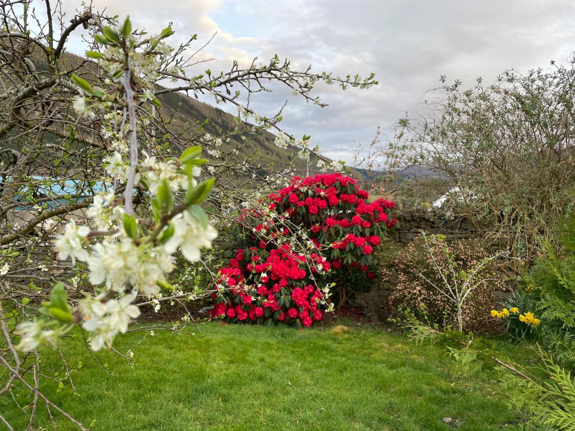 Clachan Garden B&B Garve Εξωτερικό φωτογραφία